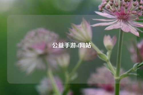 公益手游sf網站