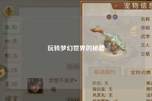 玩轉夢幻世界的秘籍