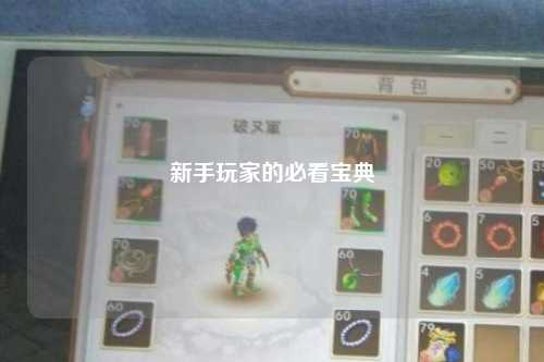 新手玩家的必看寶典