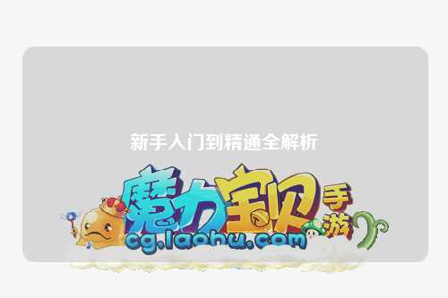 新手入門到精通全解析