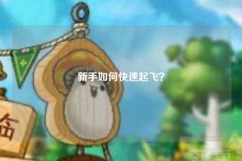 新手如何快速起飛？