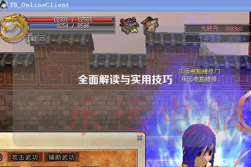 全面解讀與實用技巧