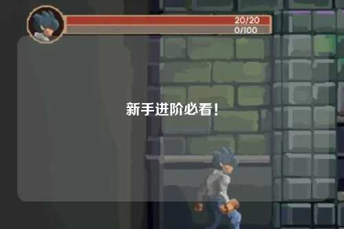 新手進階必看！