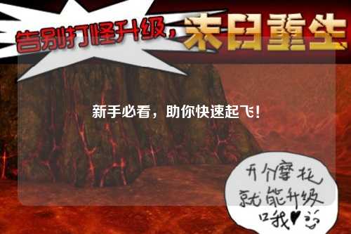 新手必看，助你快速起飛！