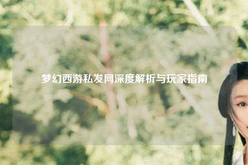 夢幻西游私發(fā)網(wǎng)深度解析與玩家指南