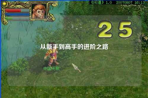 從新手到高手的進階之路