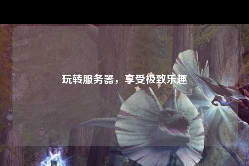 玩轉(zhuǎn)服務(wù)器，享受極致樂趣