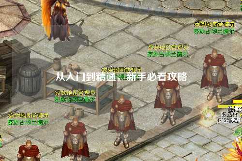 從入門到精通，新手必看攻略