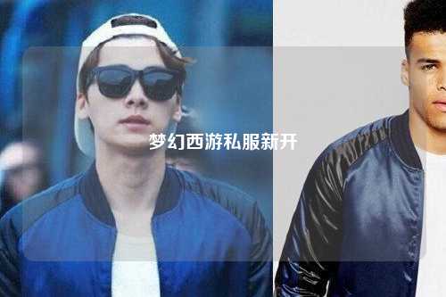 夢(mèng)幻西游私服新開