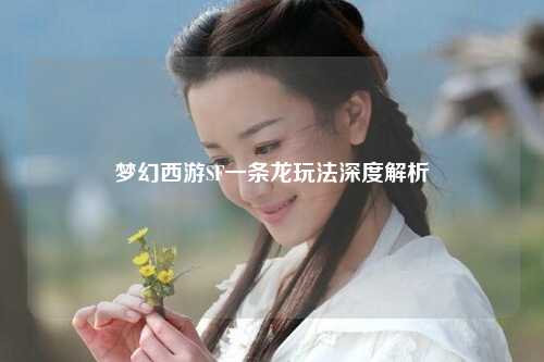 夢幻西游SF一條龍玩法深度解析