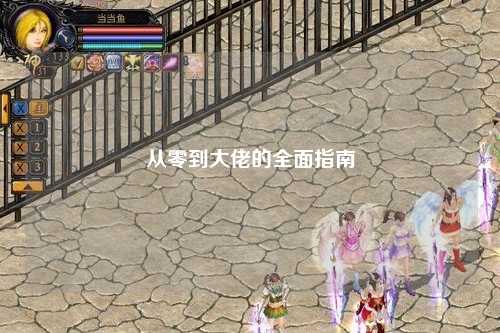 從零到大佬的全面指南