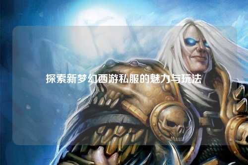 探索新夢幻西游私服的魅力與玩法