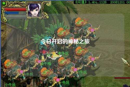 今日開啟的神秘之旅