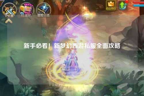 新手必看！新夢幻西游私服全面攻略