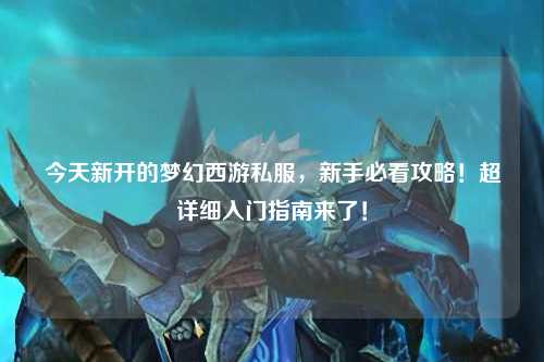 今天新開的夢幻西游私服，新手必看攻略！超詳細入門指南來了！