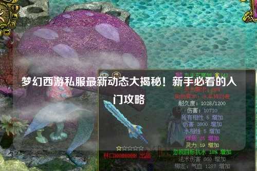 夢幻西游私服最新動態大揭秘！新手必看的入門攻略