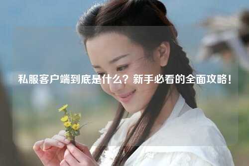 私服客戶端到底是什么？新手必看的全面攻略！